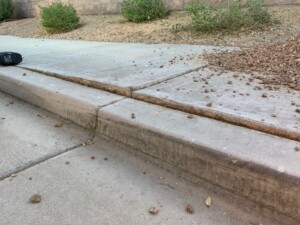 sidewalk damage due to sissoo tree roots